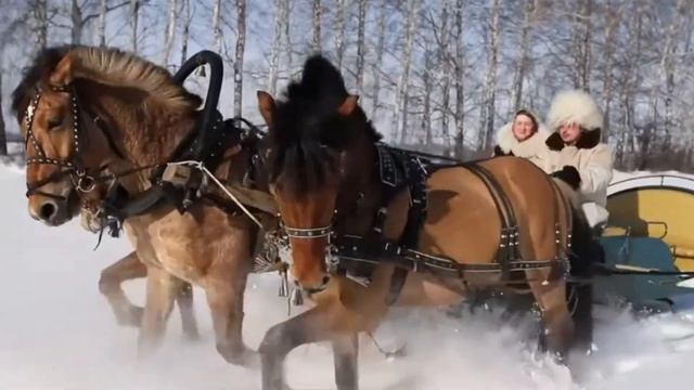 Тройка