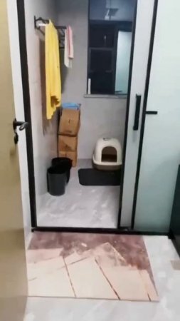 Найди кота!