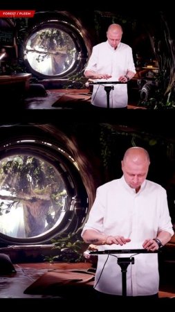 FOREST  PLEEM 3
