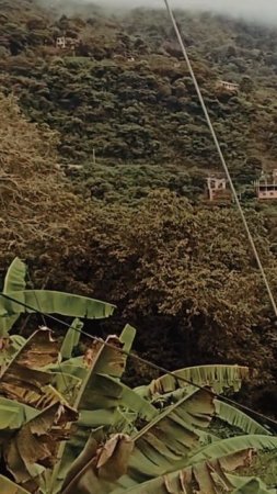 🇧🇴 "COROICO" La SELVA BOLIVIANA 👉 Un PARAISO ❓❓ #2 #shorts