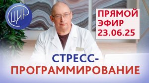 В зеркальце Венеры: Новое в мире плаценты, нарушений имплантации и женского здоровья 2. И.И. Гузов