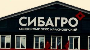 ТРОЕ РАБОЧИХ ПОГИБЛИ НА СВИНОКОМПЛЕКСЕ: НОВЫЕ ПОДРОБНОСТИ