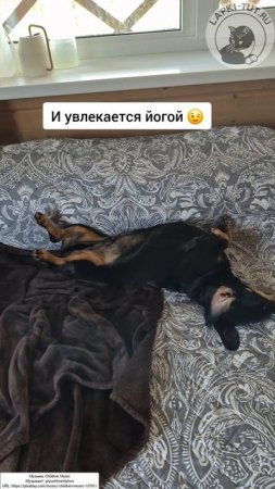 спортивные упражнения