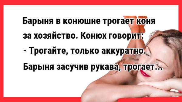 Барышня трогает коня за хозяйство. Новые Анекдоты! Свежие Анекдоты!  Смешные, прикольные анекдоты!