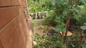 VID_20250622_091906