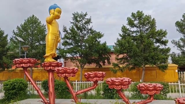 Экспедиция по Монголии группы универсологов. Марина Цвинтарная. МНШУ. 24.06.2025