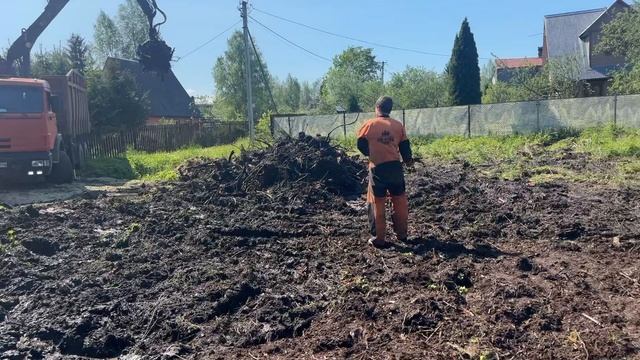 Расчистка участка под строительства на болотистом участке