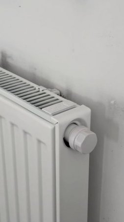 White Box в Доме на Окружном