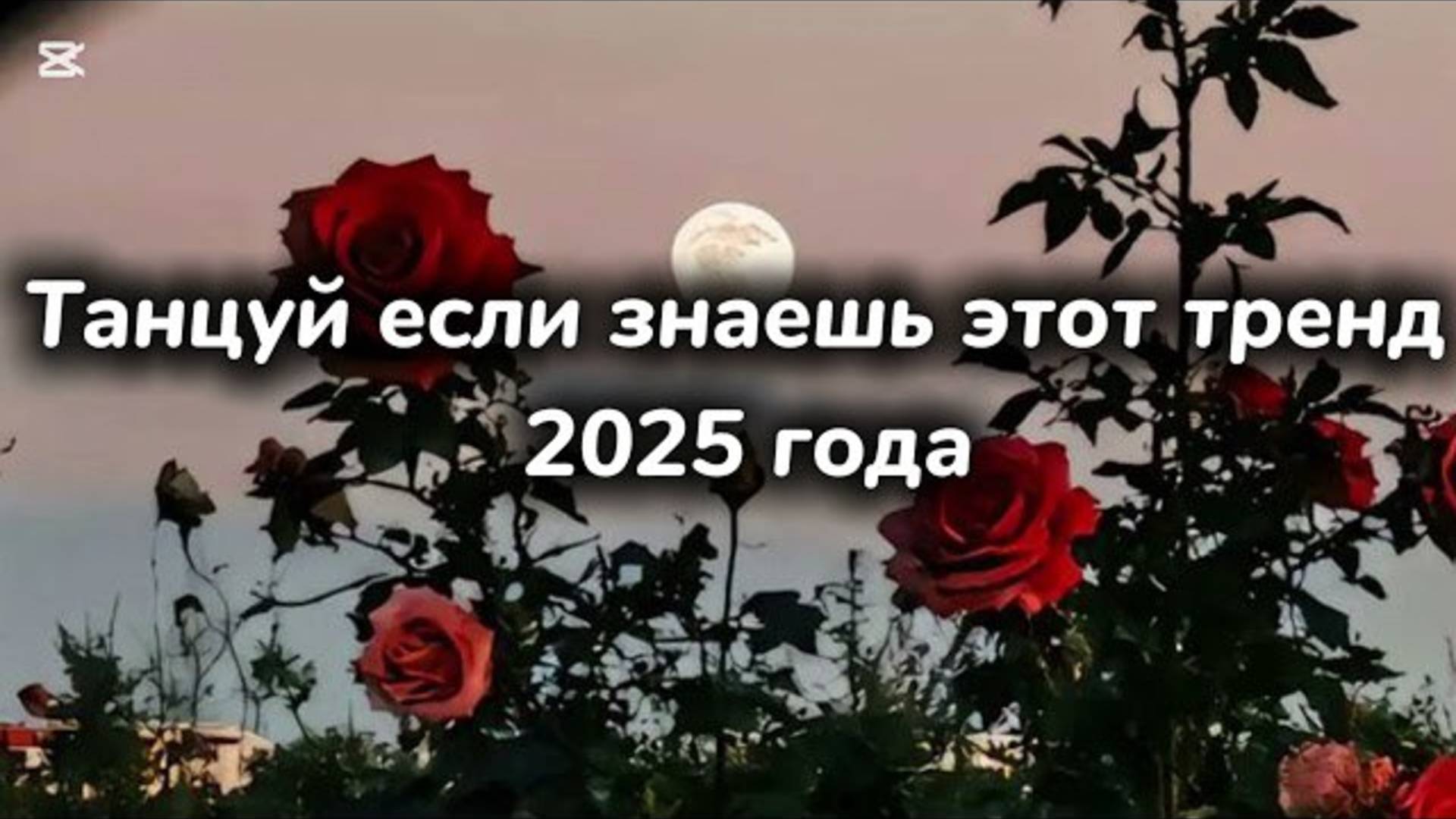 ℹ️ Танцуй если знаешь этот тренд 2025 года🔥