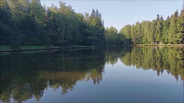 Утренний обзор с нижнего водоёма. Клёвое место, Лосиный остров.
