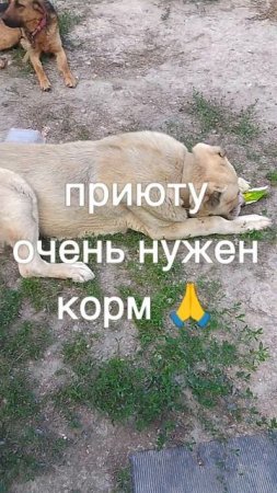 +7985 193 0027 сбер, элплат
