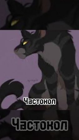 Коты воители. Эдит. Синяя Звезда/Буран/Частокол/Ласточка/Ураган/Кленовница/Пчела/