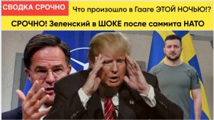 ГААГА в Шоке!!!! Трамп сделал жесткое для Зеленского заявление перед саммитом НАТО