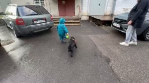 Ника и собака.