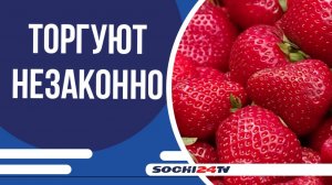 В Сочи прошёл рейд по пресечению незаконной торговли