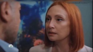 Зимородок 3 Новая жизнь