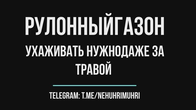 рулонный газон ухаживать нужно даже за травой