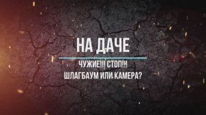 Наша дача... Чужие!!! Стоп!!!
Решили установить камеру видеонаблюдения...