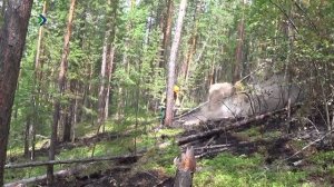 Лесопожарный центр информирует о повышенной пожарной опасности