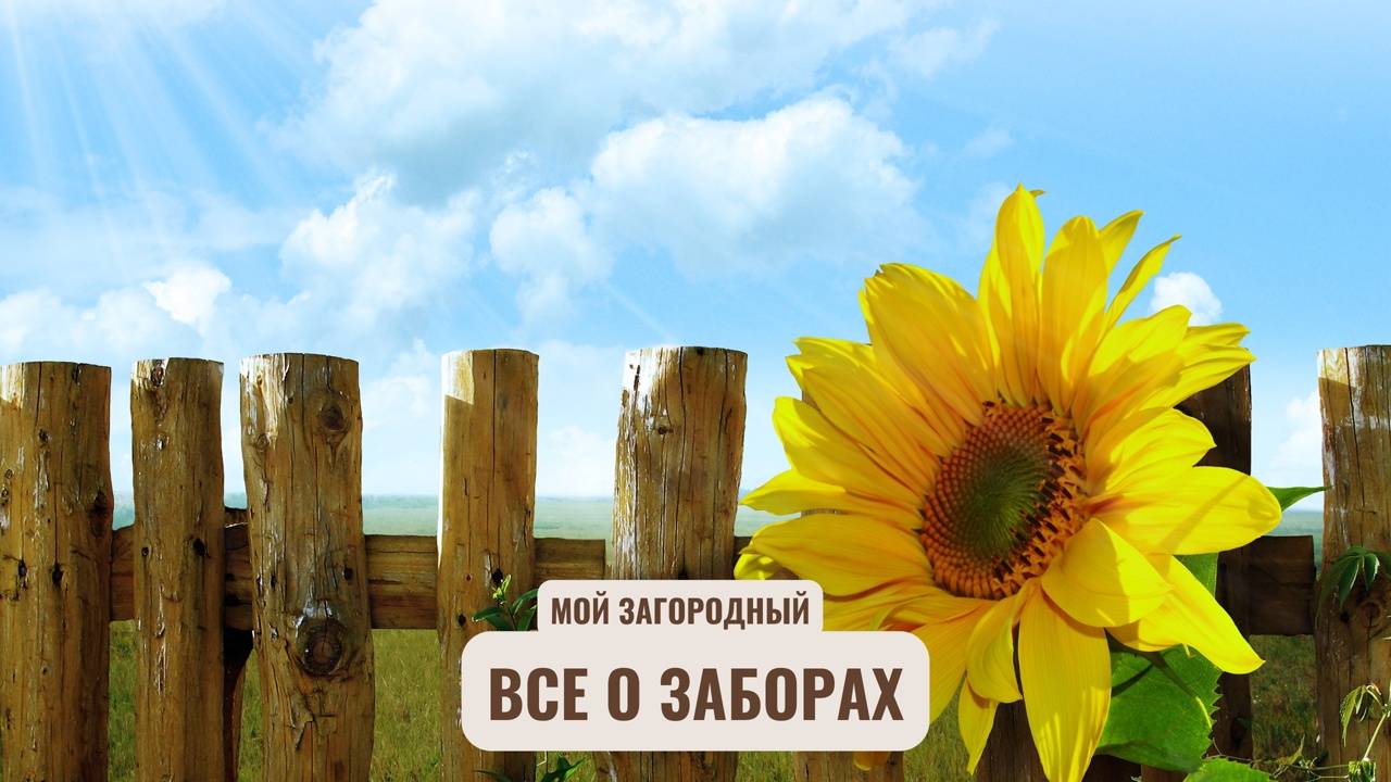 «Щит» для вашего участка: все о заборах. Мой Загородный
