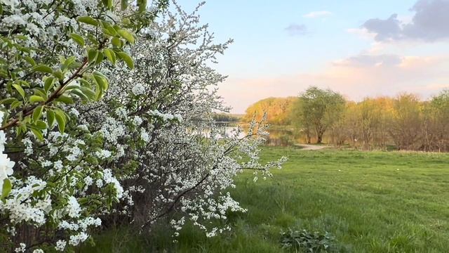 Причины, почему я переехала в деревню и выбрала эту местность.