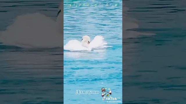 VID-20250626-WA0269