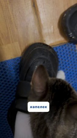 Артикул на WB #234627478 
Ozon #1641932840
Пятновыводящие салфетки быстро избавляют от
свежих пятен