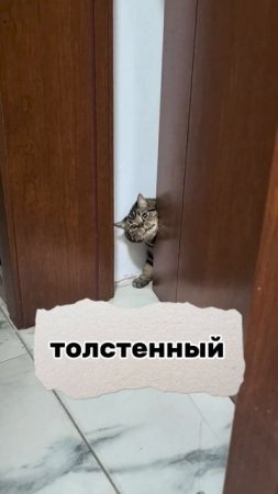 Проверь свою интуицию.