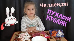 Челлендж ПУХЛЫЙ КРОЛИК | Chubby Bunny Challenge