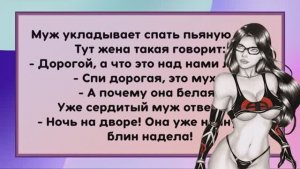 Волк, Лиса и Заяц. Анекдоты 😂😂😂