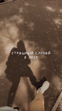Страшный случай в лесу