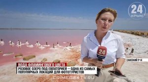 Озеро Сасык-Сиваш в Сакском районе стало розовым раньше времени. В чем причина