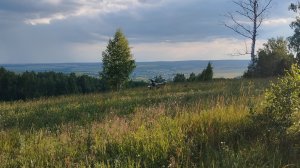 Сбор лесной клубники 26-06-2025