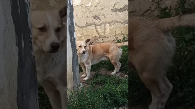 У нас ураган, нет света. 26 июня 2025 г.