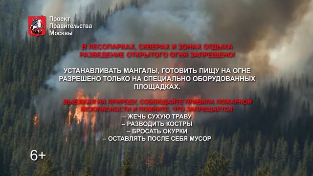Берегите лес от пожара