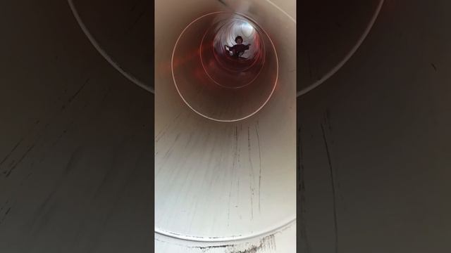 Гарри драпает от мамочки, а она за ним