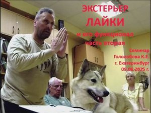 Семинар. Часть 2. Экстерьер лайки и его функционал. Гололобов К.Е. г. Екатеринбург, 09.06.2025 г