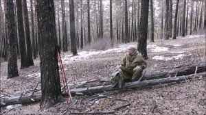 " Весна идёт,  весне дорогу... "