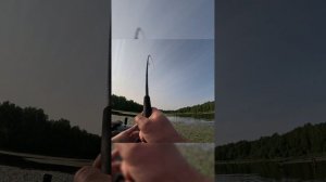Как ловить щуку на неогруженную силиконовую приманку #fishing  #рыбалка #какловитьщукувтраве