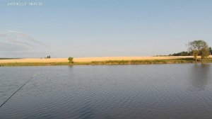 Новости с озера на 25-м