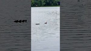 1000020930.mp4