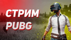 Стрим PUBG Играем Бро!