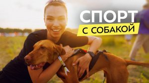 Как тренироваться вместе с собакой? О видах спорта, снаряжении и неочевидных нюансах