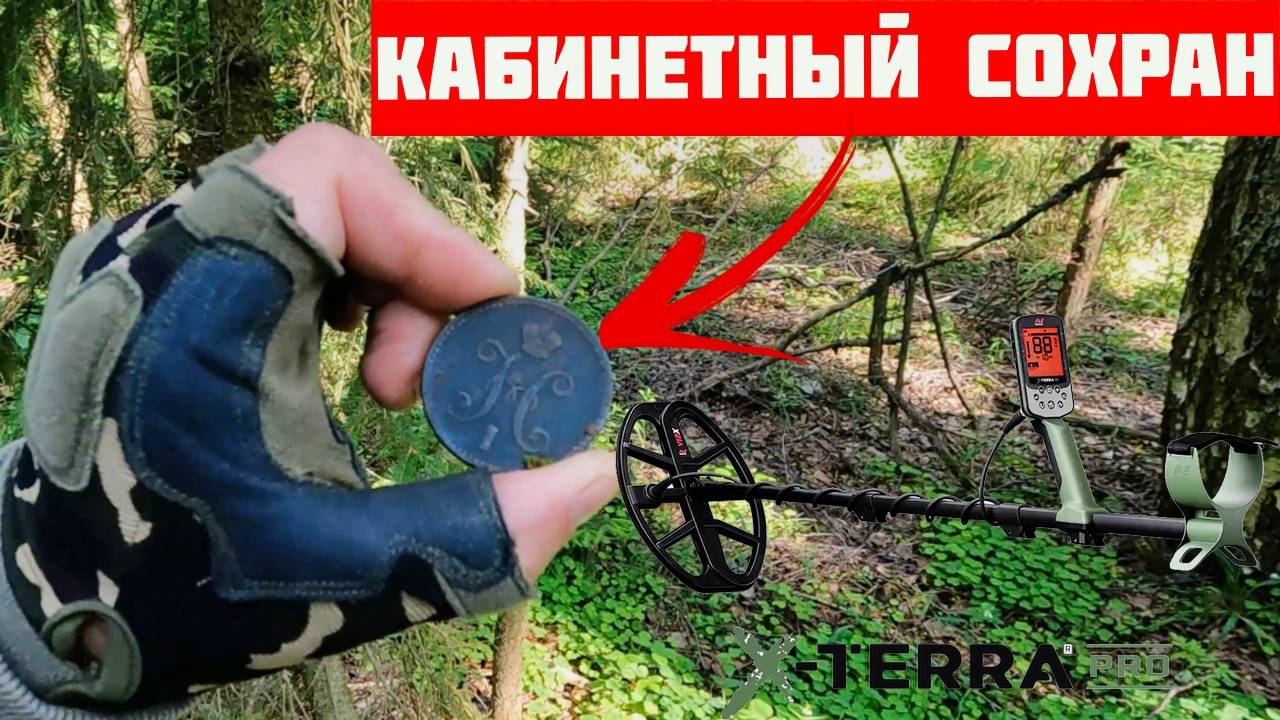 Поход на Коп - В этом лесу кабинетный СОХРАН МОНЕТ