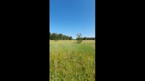 20250611_144618 (online-video-cutter.com)