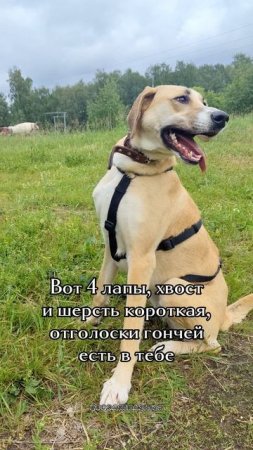 Кто тебя создАл такУю