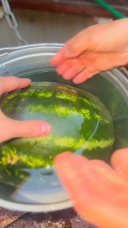 Выловили двухлетний арбуз из колодца..🫢🍉🪣