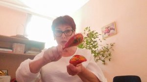 2_5393346942195495991