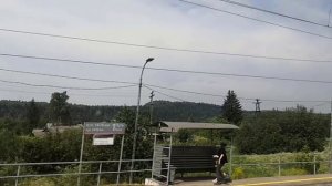 В краю сибирском