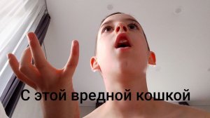 С Этой Вредной Кошкой АСЯ!